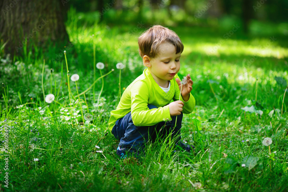 Little boy blows down dandelion fluff. Making a wish Little boy blows down dandelion fluff. Making a wish