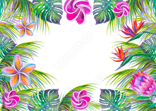 illustrazione acquerello fiori esotici foglie tropicali cornice sfondo bianco