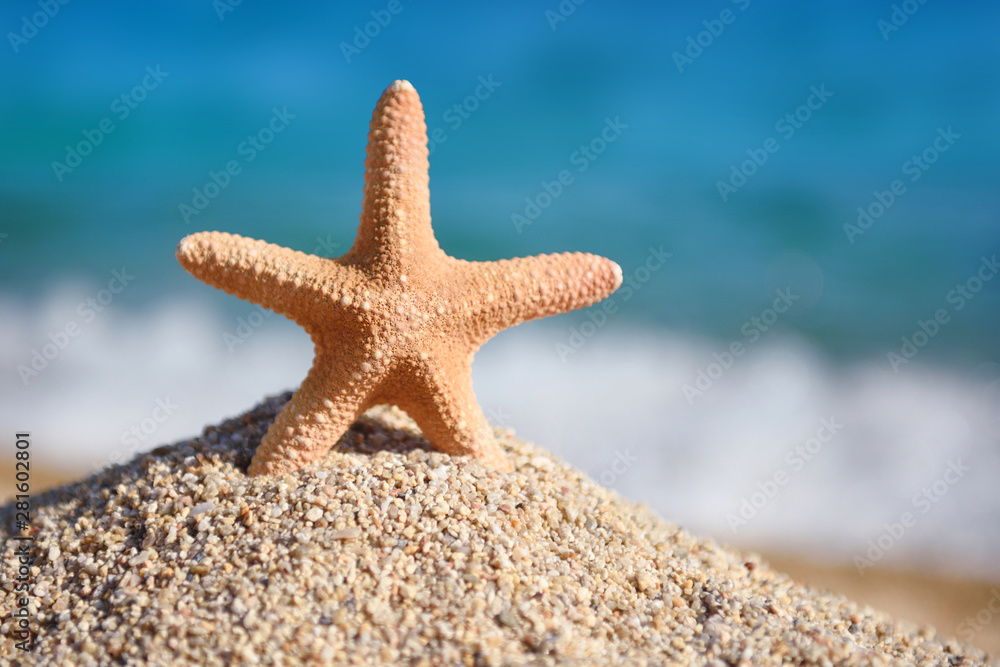 A starfish on the beach against the background of the sea and waves on a hot sunny day A starfish on the beach against the background of the sea and waves on a hot sunny day