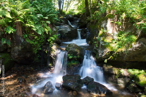 Wasserfall in wunderschöner Natur - Schwarzwald Deutschland, Todnauberg