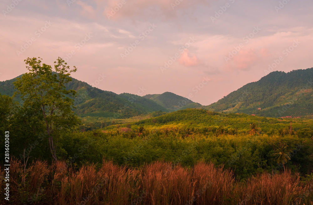 scenery of slope mountain in afternoon