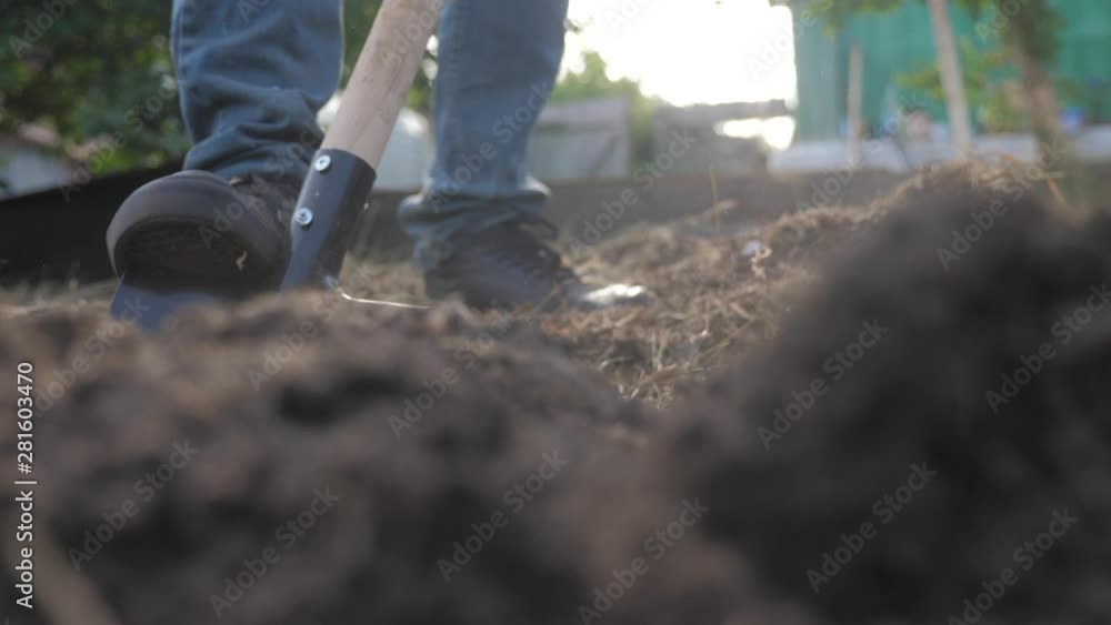 farmer digging the ground with a shovel garden close-up. slow motion video. man farmer working in the garden agriculture lifestyle concept summer garden farmer digging the ground with a shovel garden close-up. slow motion video. man farmer working in the garden agriculture lifestyle concept summer garden