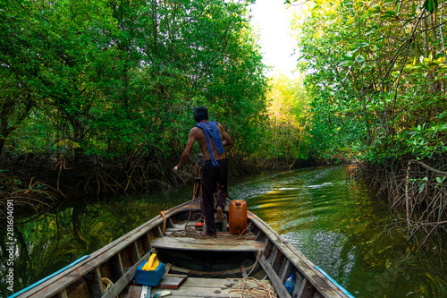 long tail boat of fisherman travel in mangrove forest in morning,Thailand,Phang Nga,Koh Yao Yai
