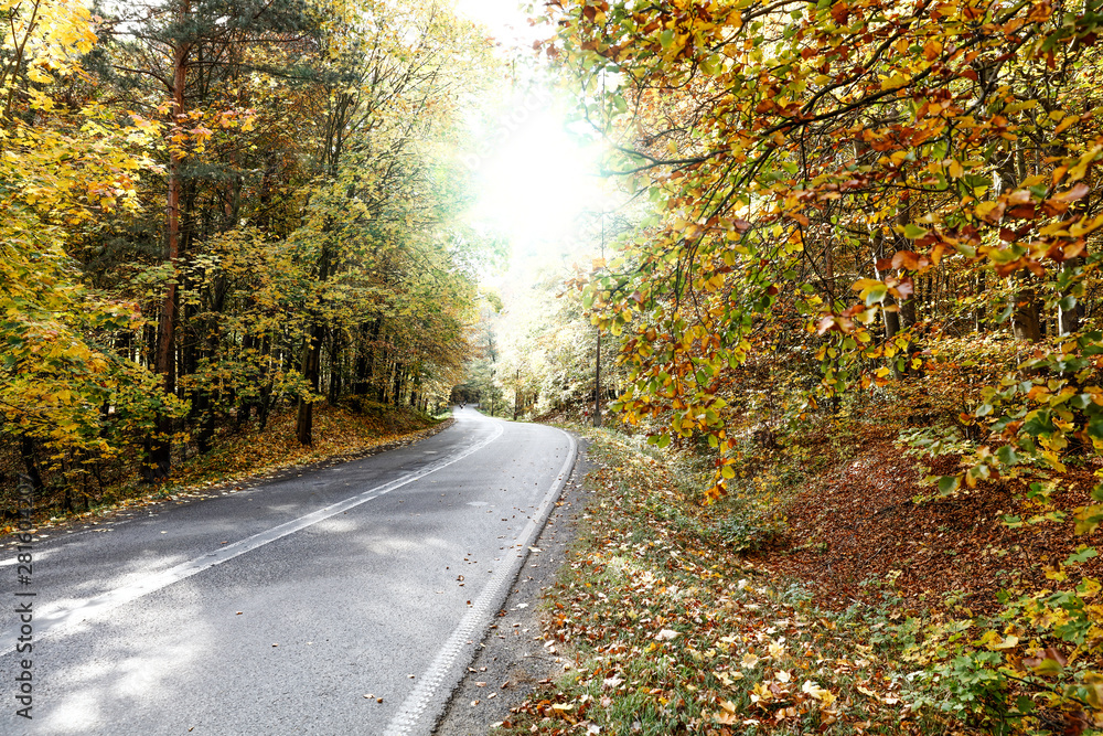 Road view on sunny day. Driving and journey in autumn time.