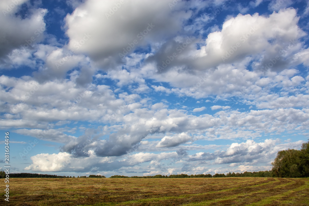 Obraz premium Clouds over a sloping field