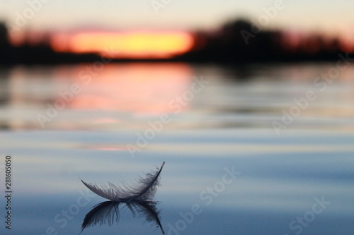 A Feather on the lake photo