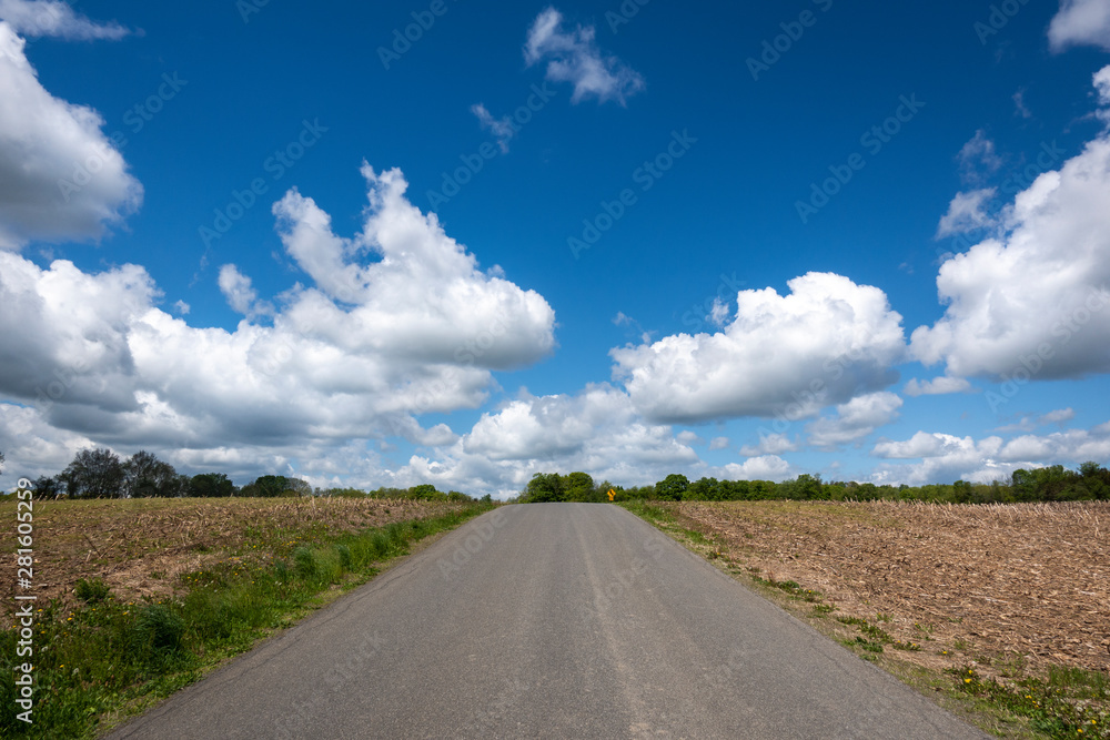 Road and Sky in a Hudson Valley Cornfield