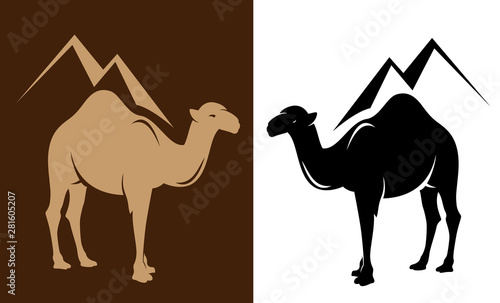 standing dromedary camel and great egyptian pyramids outline - touristic sightseeing emblem vector design