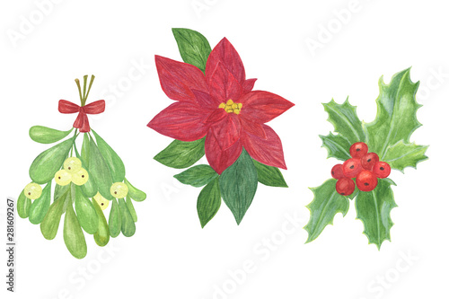 Traditional winter holidays decorative plants, holly leaves and berries, poinsettia, mistletoe, end of the year celebrations symbol, family and home