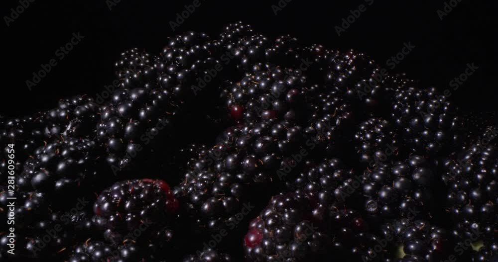 Fresh Blackberries Macro. Motion. 4K. Fresh Blackberries Macro. Motion. 4K.