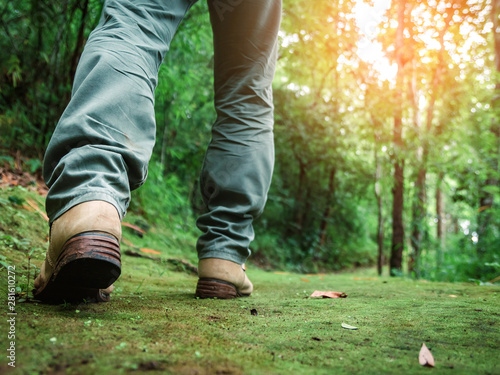 Hiking boots and legs of young man walking on the mountain green path in forest © AungMyo