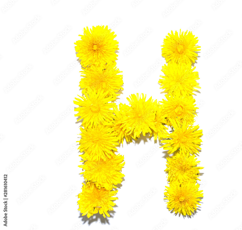 Dandelion Alphabet Dandelion Alphabet