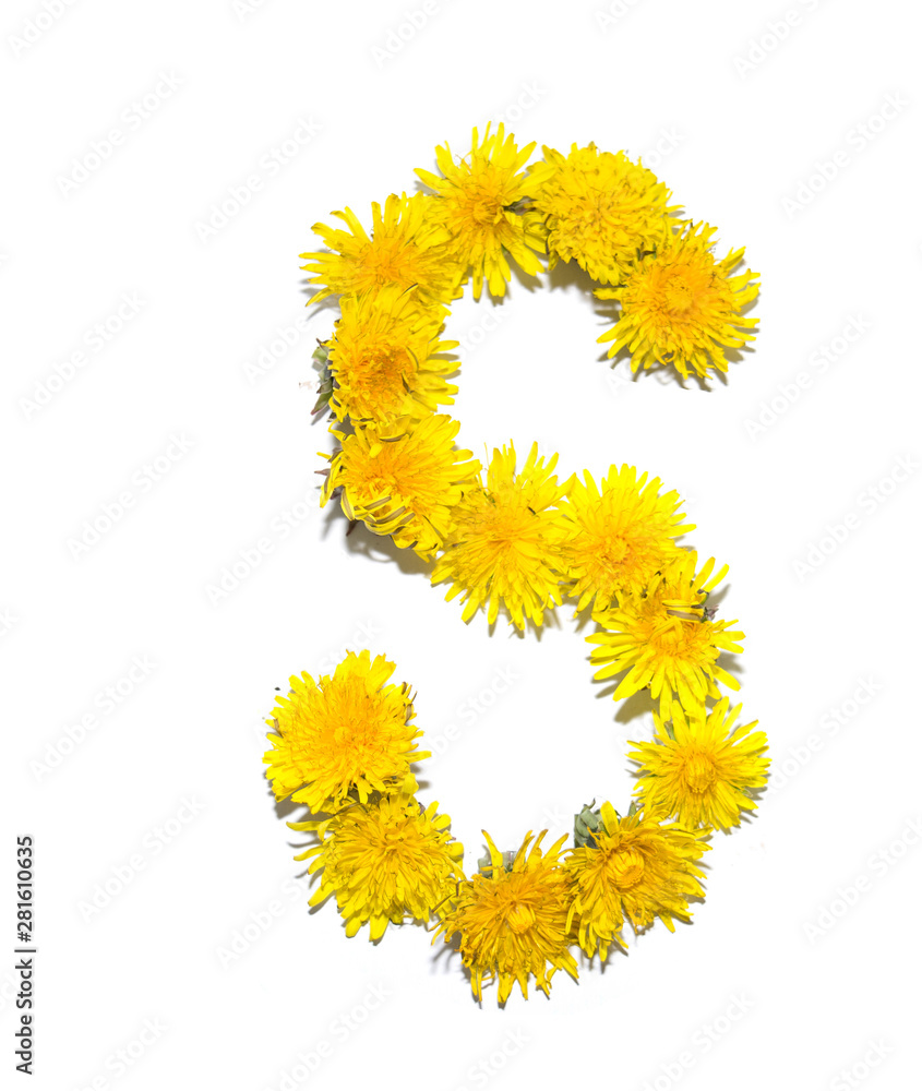 Dandelion Alphabet Dandelion Alphabet