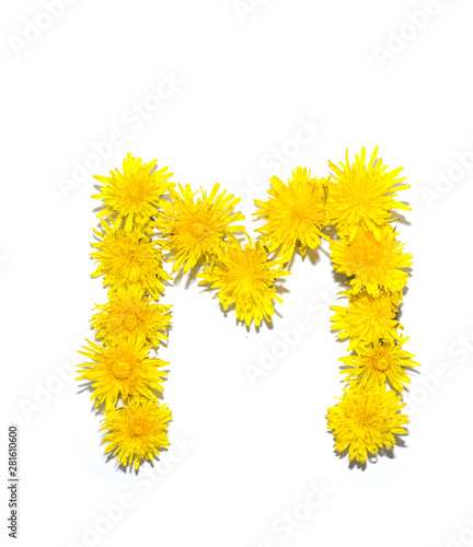 Dandelion Alphabet