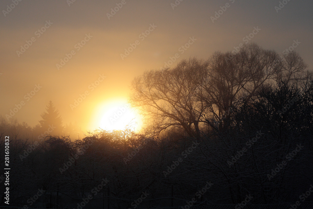 Misty atmospheric sunrise in nature with trees