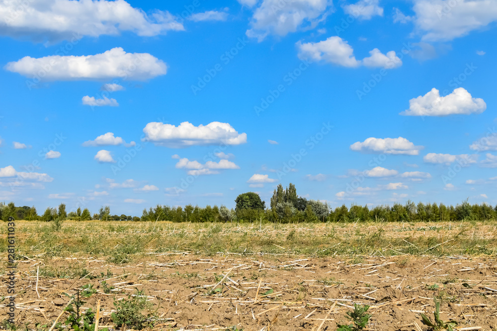 Obraz premium View of a harvested field that has dried up from the drought.