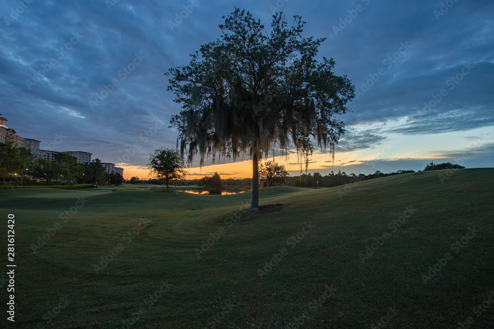 A cloudy sky reduces the amount of orange glow in the sky during sunrise over a golf course in Orlando Florida. 