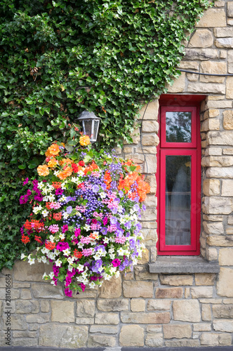 Photography Ornamental Street Flowers - Dublin Ireland