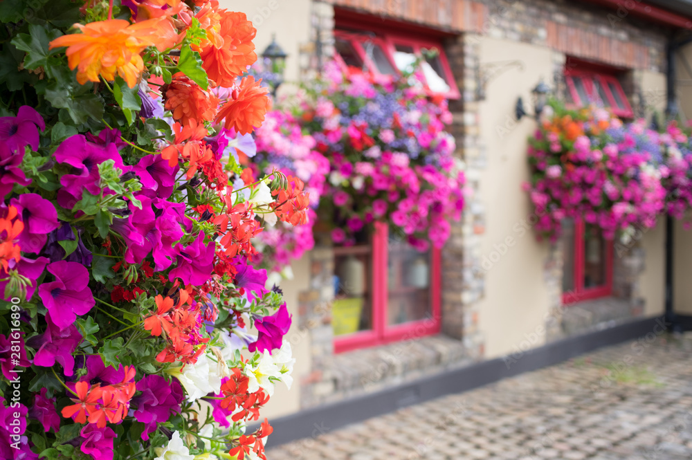 Naklejka premium Ornamental Street Flowers - Dublin Ireland