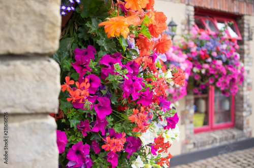Photography Ornamental Street Flowers - Dublin Ireland
