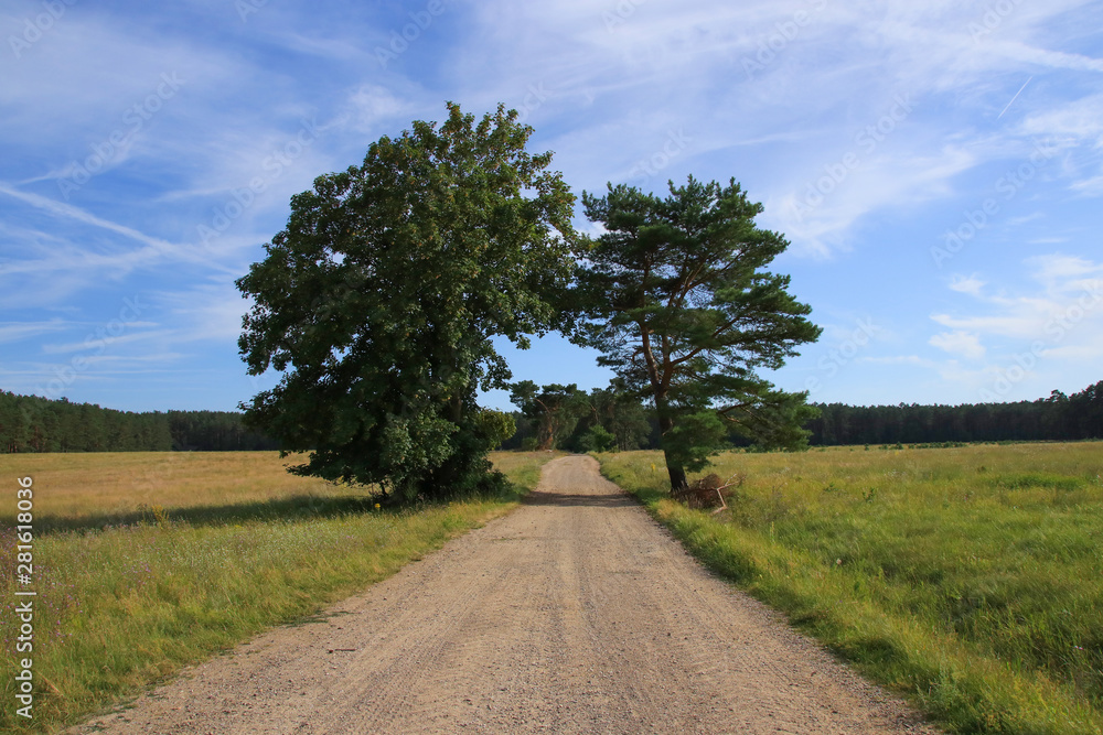 Hiking Trail in Müritz National Park, Entrance Federow, Germany