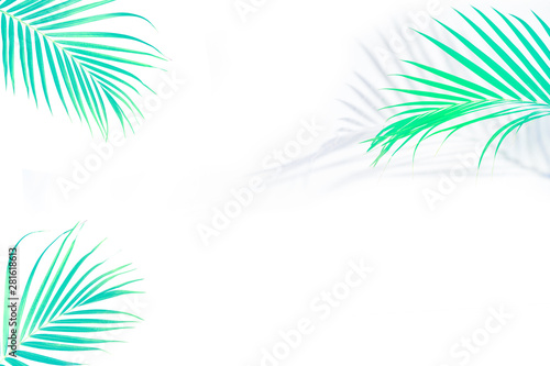 Summer and Spring tropical palm leaves on white background with a blank space for text  stylized image. Travel vacation concept. Summer background. Road frame set. Flat lay  top view.