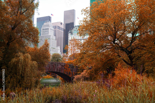 new york, manhattan, central park