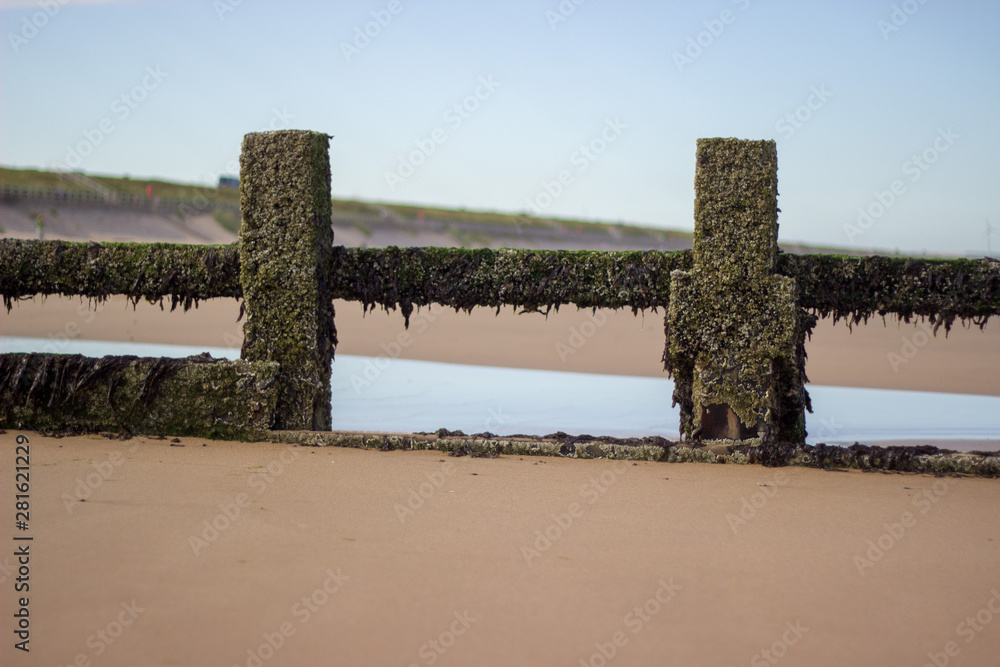 Fototapeta premium Wooden groyne at Aberdeen beach