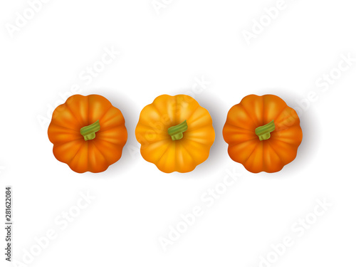 Realistic pumpkins isolated on white background. Vector illustration. Top view. 