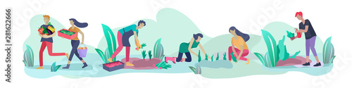 Harvesting and gardening people doing farming and garden job, pick berries, remove weeds, watering, planting, growing and transplant sprouts, lay ripe vegetables to box. Reaping crop