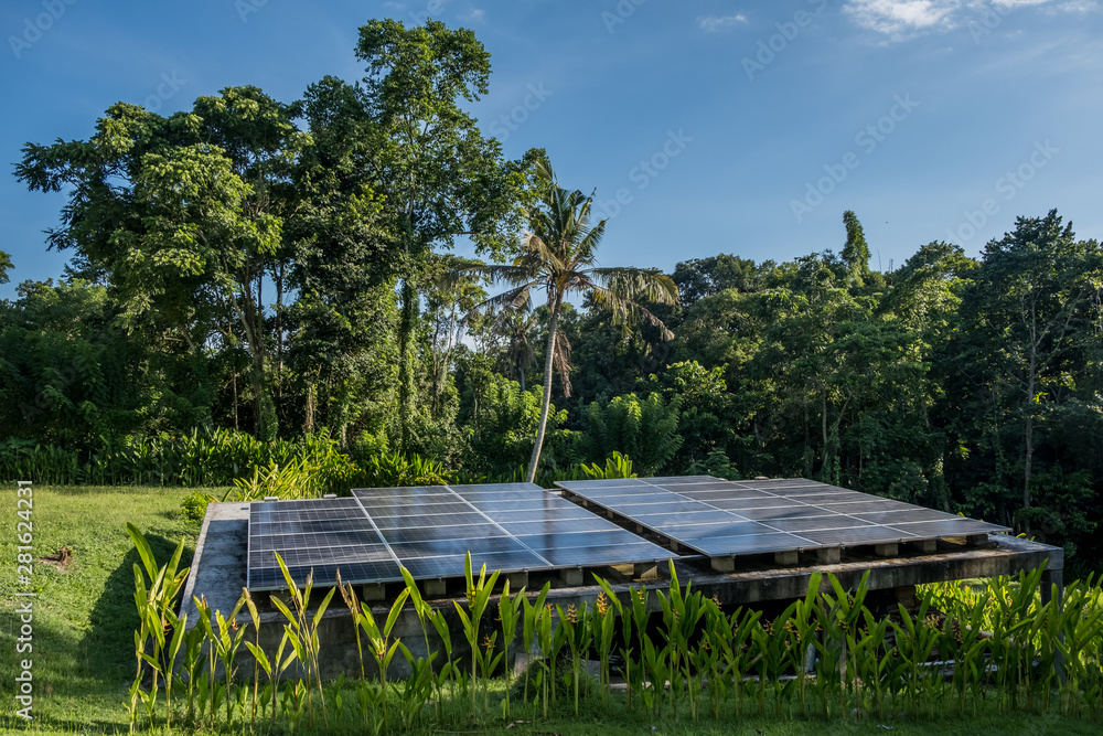 Solar panels amongst coconut trees in jungle on tropical island