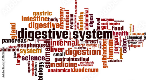 Digestive system word cloud