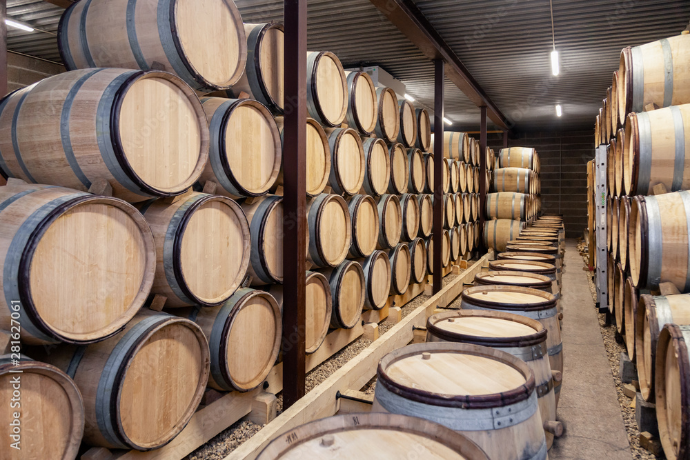 Wooden wine oak barrels stacked in straight rows in order, old cellar of winery, vault. Concept brewery background, professional degustation, winelover, sommelier travel, copyspace, place for text