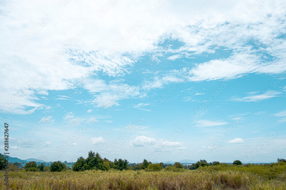 White clouds and blue sky with trees of beautiful view landscape use for advertisement , background and wallpaper White clouds and blue sky with trees of beautiful view landscape use for advertisement , background and wallpaper
