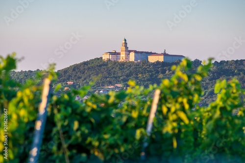Pannonhalma Archabbey with vine grapes in the wine region vineyard, Hungary