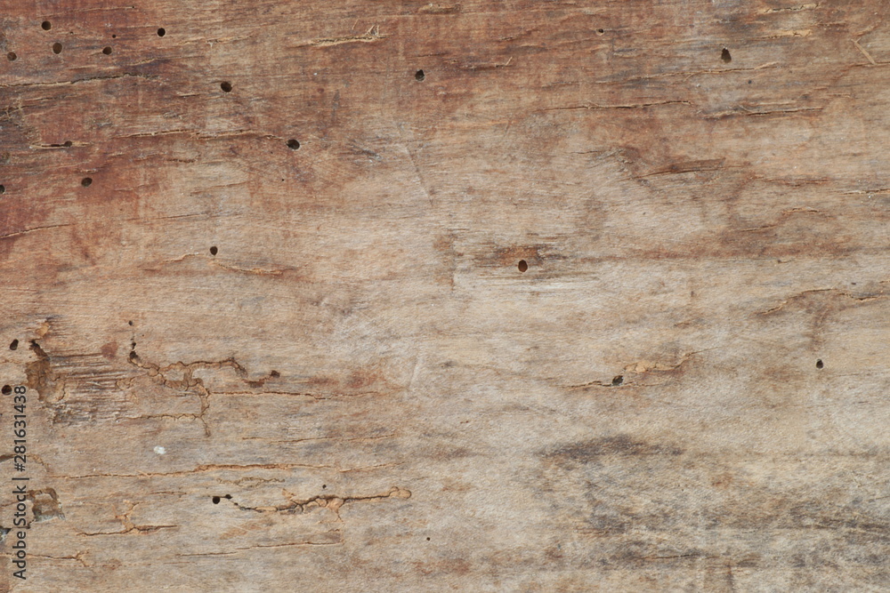 Wood texture Background, top view wooden panel for your text or design Wood texture Background, top view wooden panel for your text or design