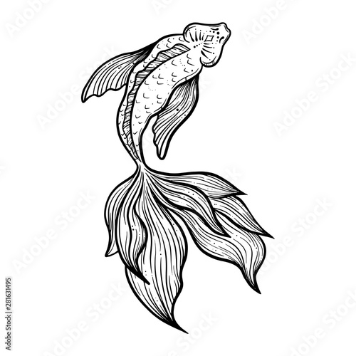 Hand drawn ethnic fish Koi carp - symbol of harmony, wisdom. Vector illustration isolated. Spiritual art for tattoo, boho, coloring books. Beautifully detailed, serene.