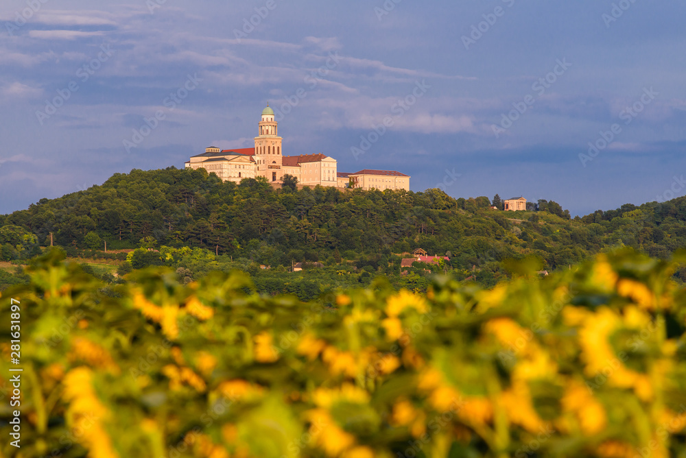 Pannonhalma Archabbey with sunflowers field