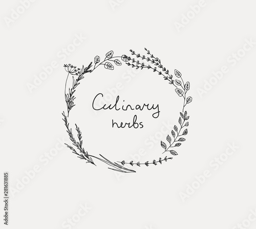 Hand drawn set of culinary herb. Basil and mint, rosemary and sage, thyme and parsley. Food design logo elements