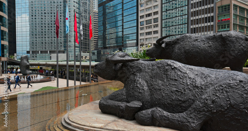 Photography Two buffalo statues, Exchange Square at Hong Kong Island
