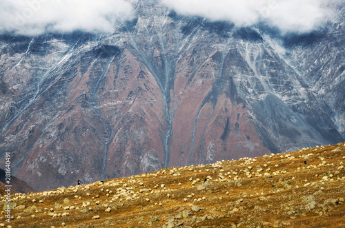 Shepherd herds sheep on hill against mountain Mt Kuru with white clouds on top, Georgia. photo