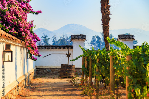 Winery, Maipo valley, the area around Santiago de Chile.