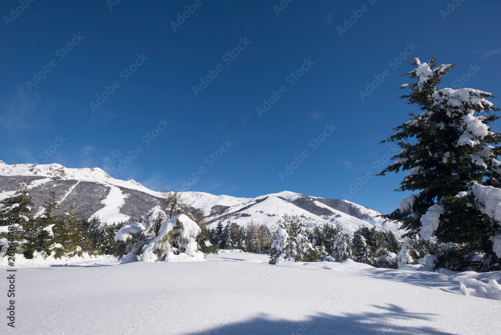 Fototapeta premium Winter view of the Cathedral ski center, San Carlos de Bariloche, Patagonia, South America. 