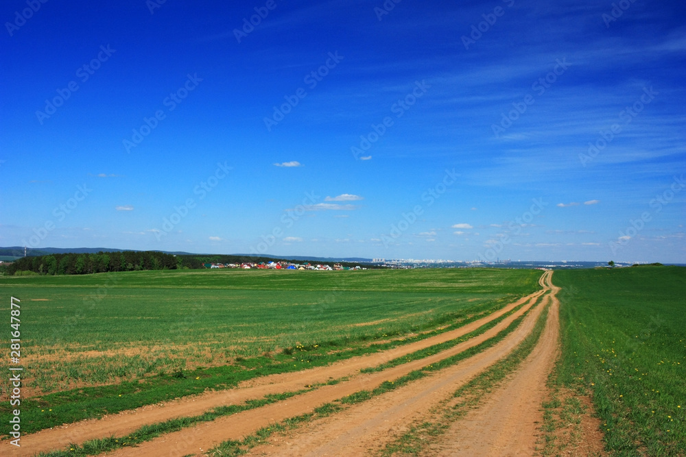 Country dirt road in the field