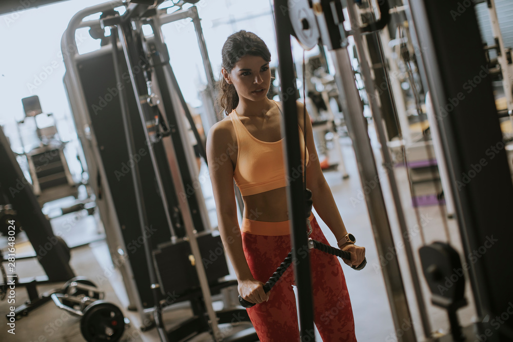 Young sporty woman working out on pull-down machine in gym Young sporty woman working out on pull-down machine in gym