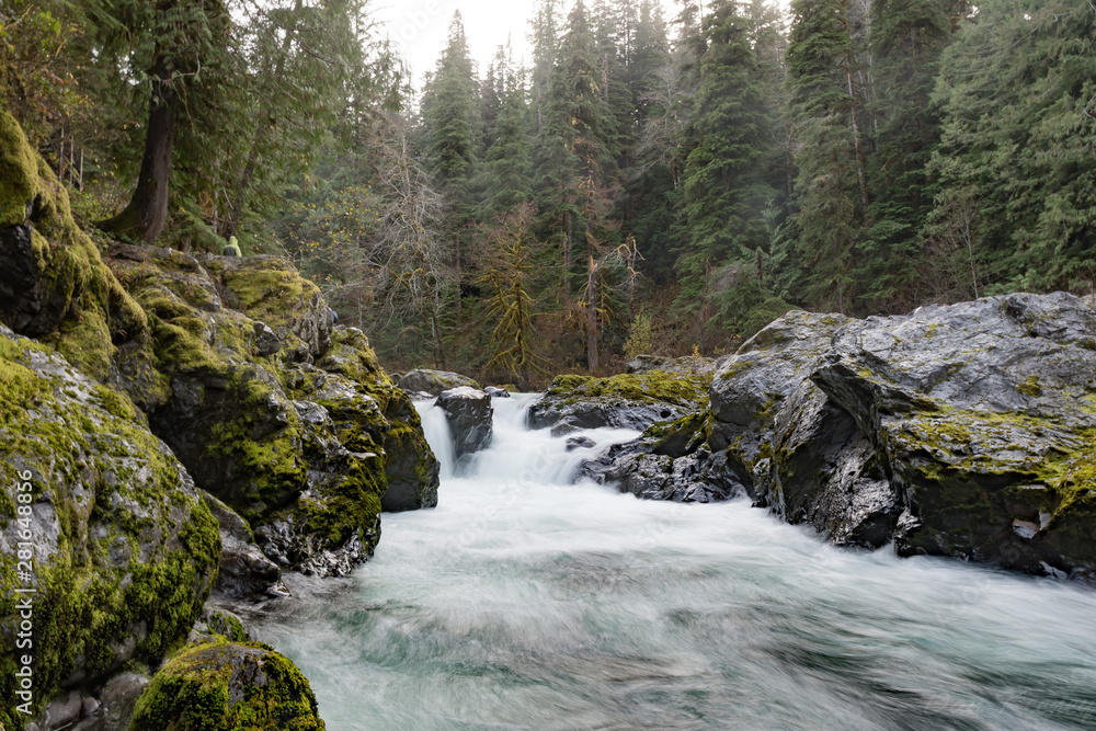Olympic national park Olympic national park