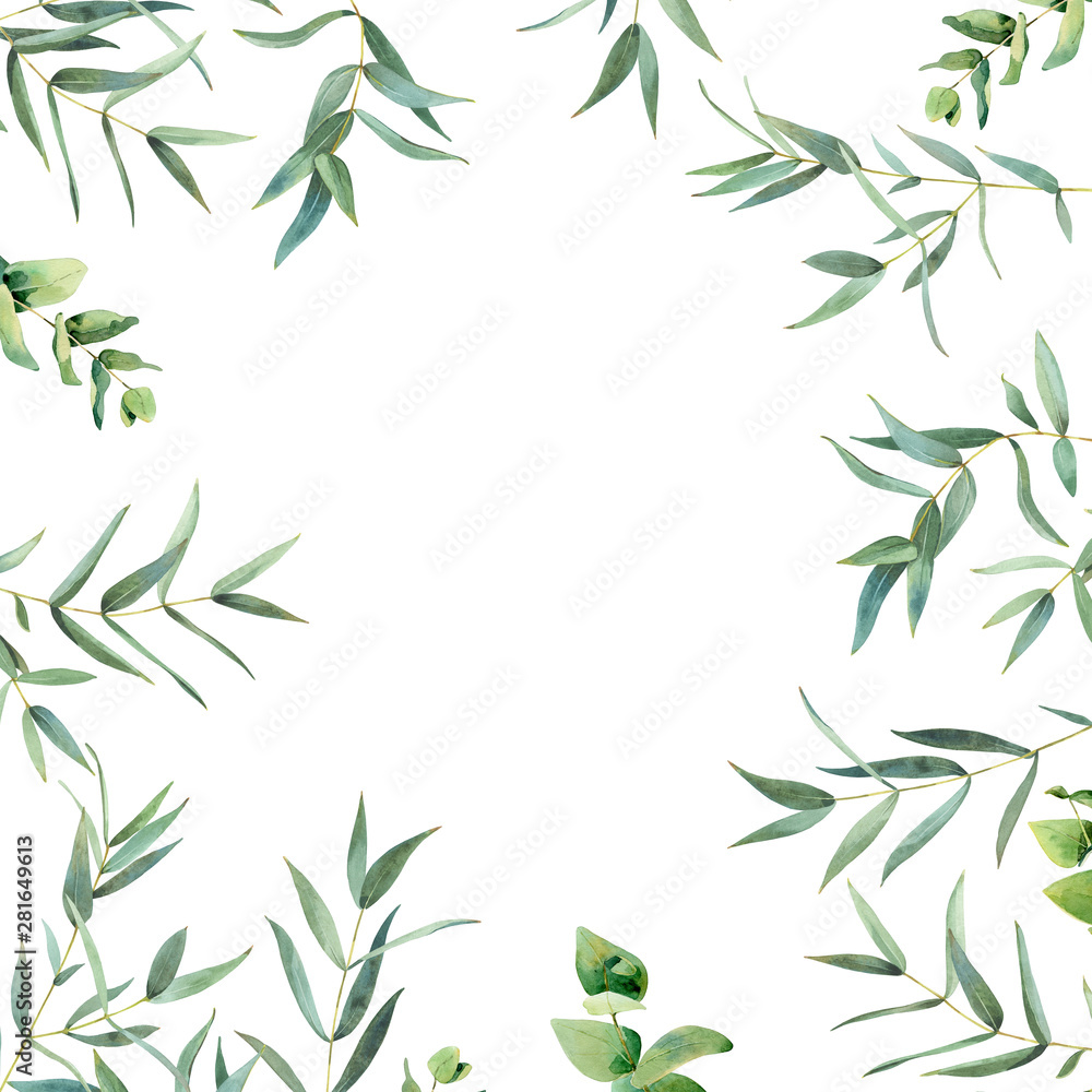 Watercolor background of eucalyptus leaves on a white background. Watercolor background of eucalyptus leaves on a white background.