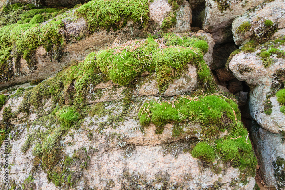 Rocks composed of layers. Stones covered with moss Rocks composed of layers. Stones covered with moss