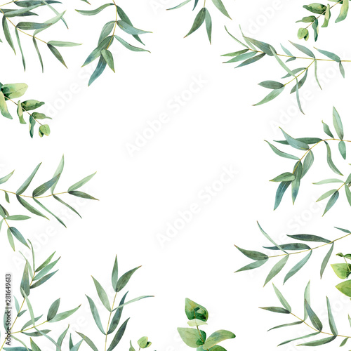Watercolor background of eucalyptus leaves on a white background. © Olga F