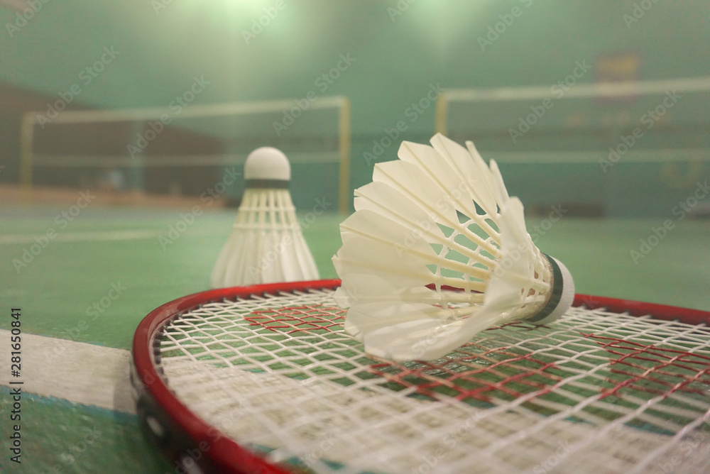 sports concept.Badminton ball (shuttlecock) and yonex racket ,badminton  courts in background in Chonburi, Thailand. Stock Photo | Adobe Stock